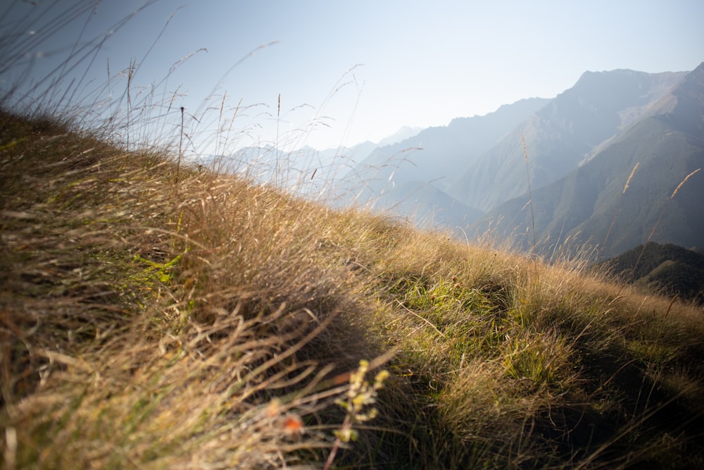 brown grass field near mountains during daytime