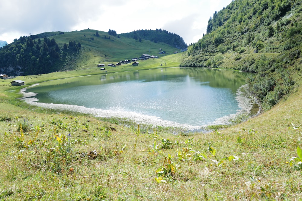 green grass field near lake during daytime