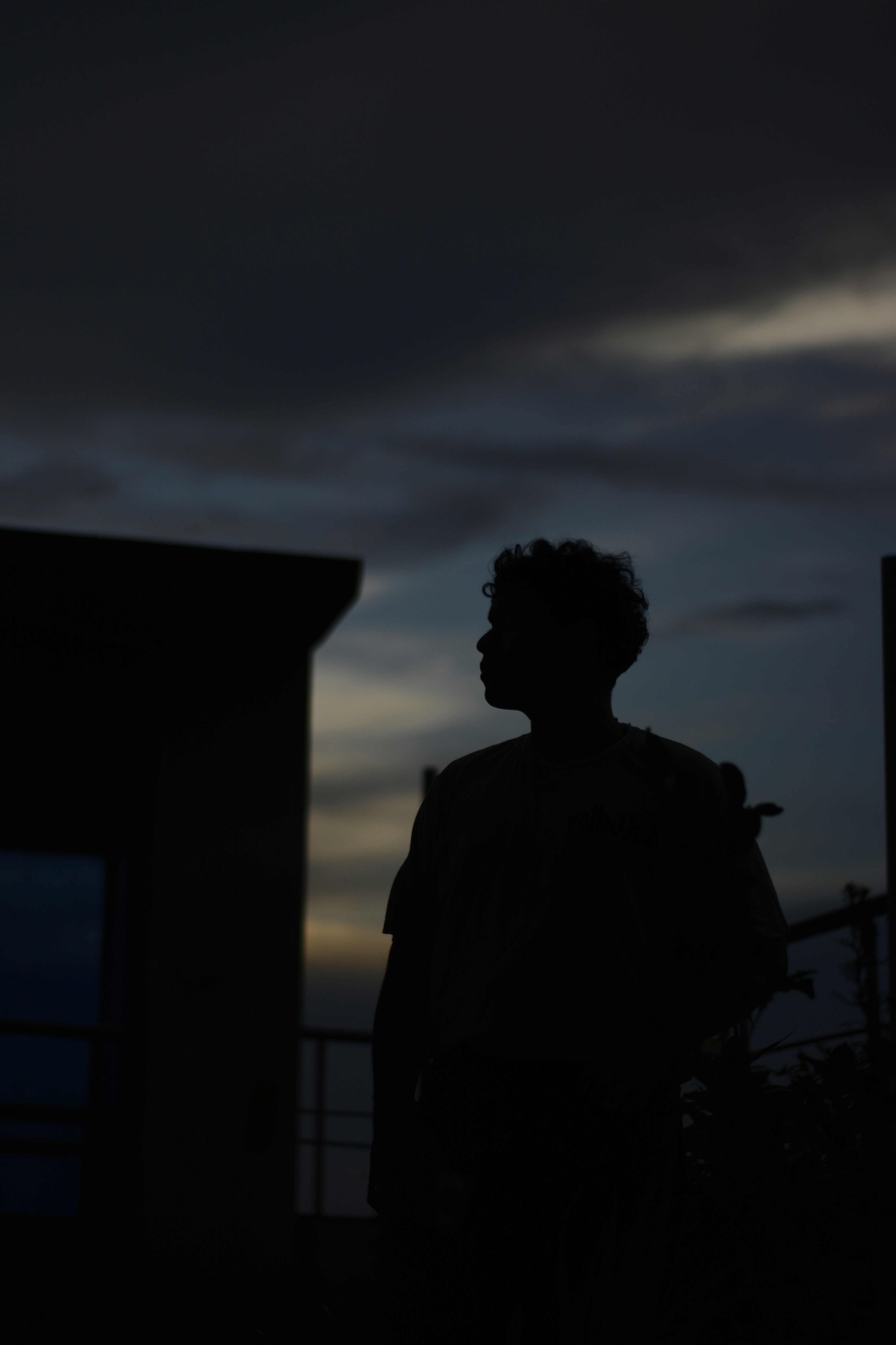 silhouette of man statue under cloudy sky during daytime
