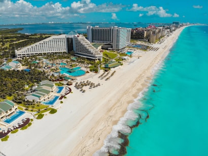 aerial view of people on beach during daytime