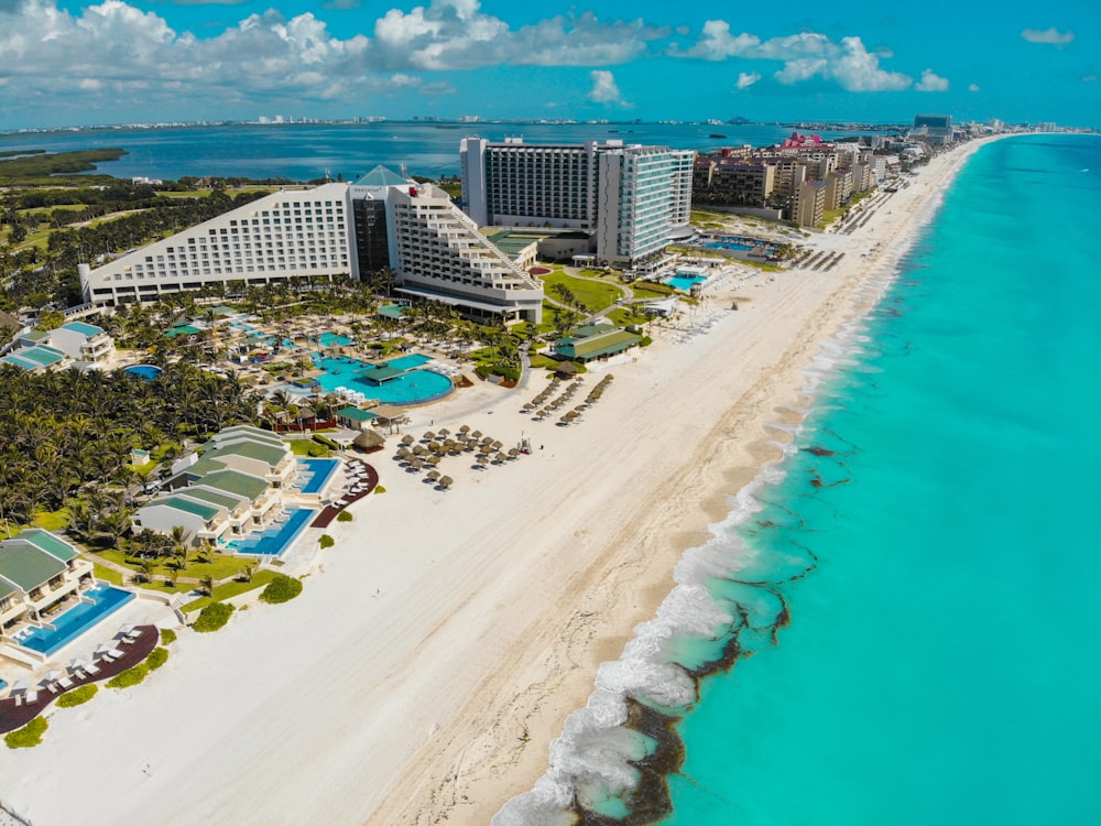 aerial view of people on beach during daytime