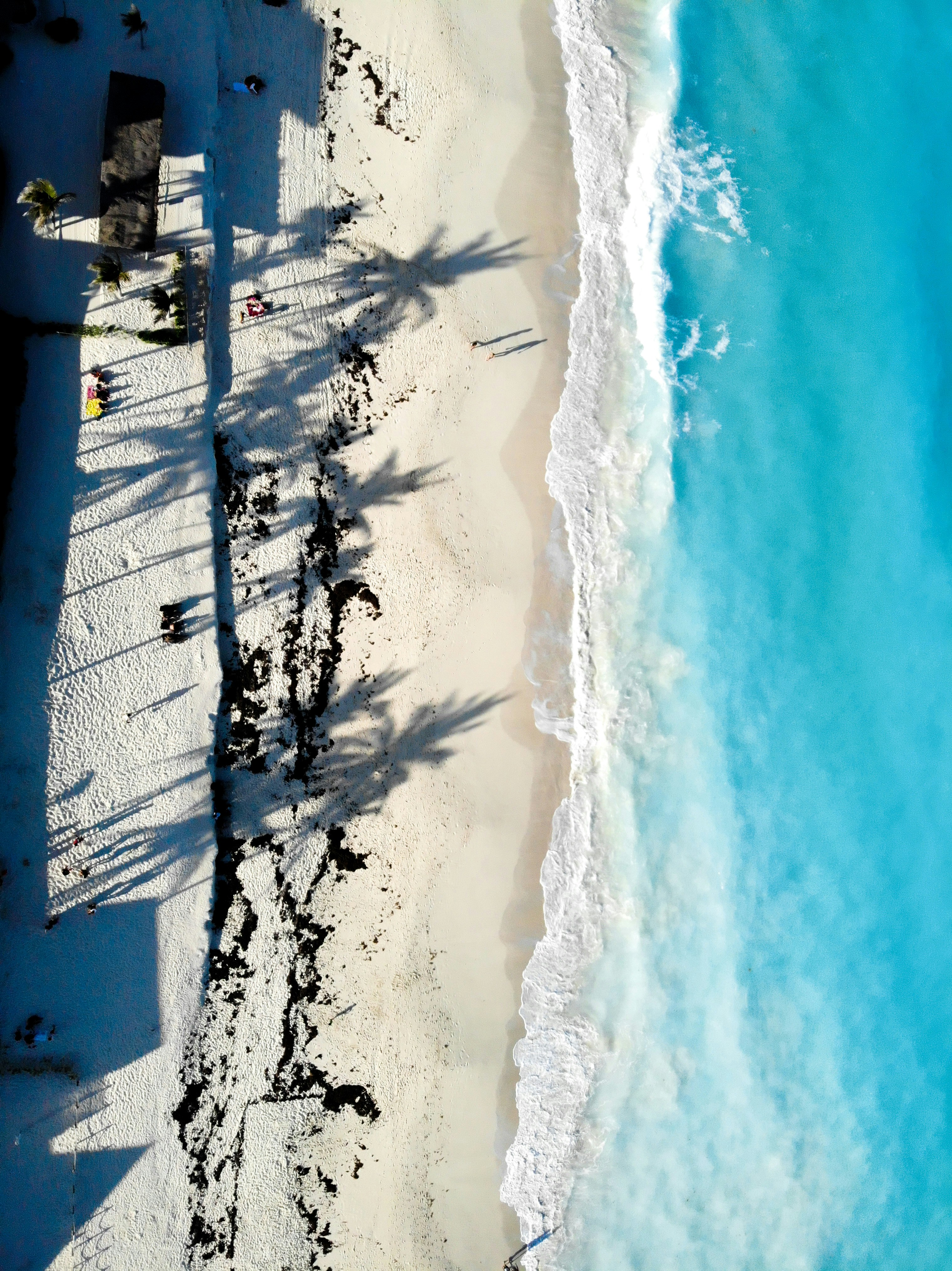 people on beach during daytime