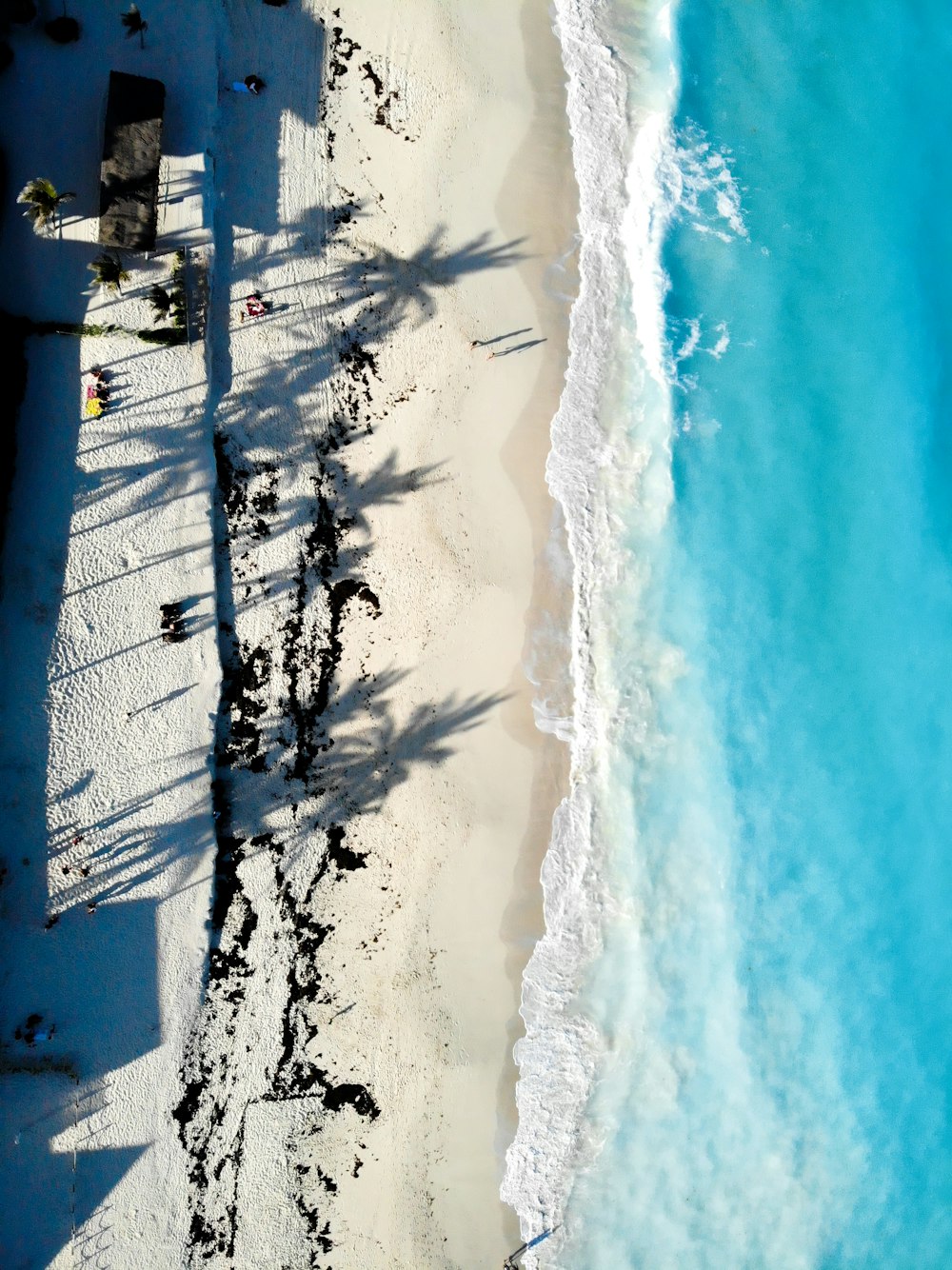 people on beach during daytime