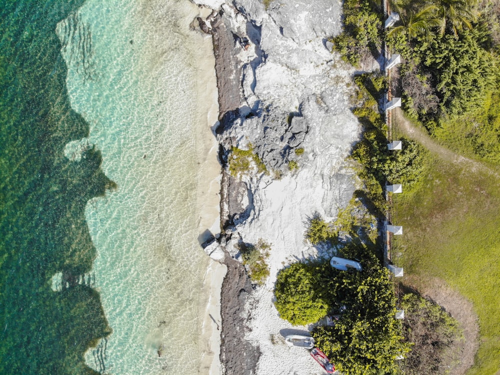 aerial view of green trees beside body of water during daytime