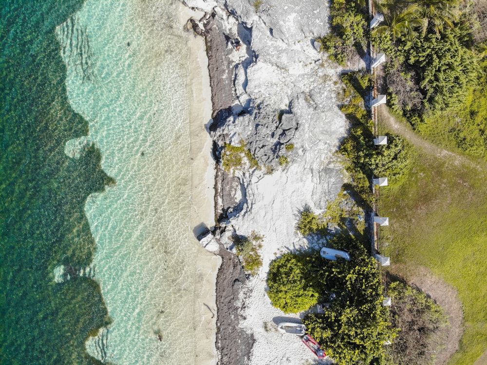 aerial view of green trees beside body of water during daytime