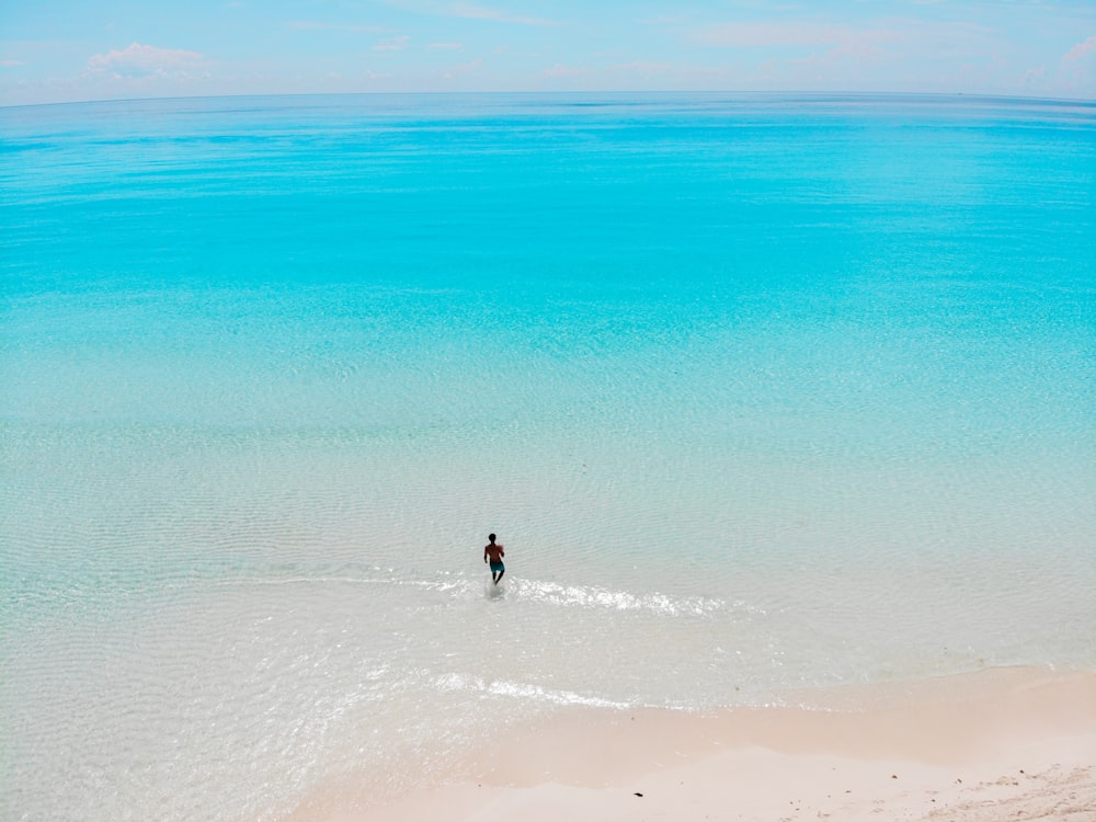 person in black shirt walking on beach during daytime