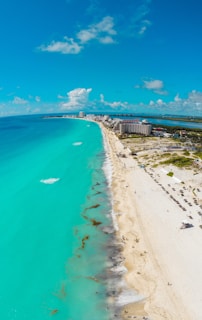 people on beach during daytime
