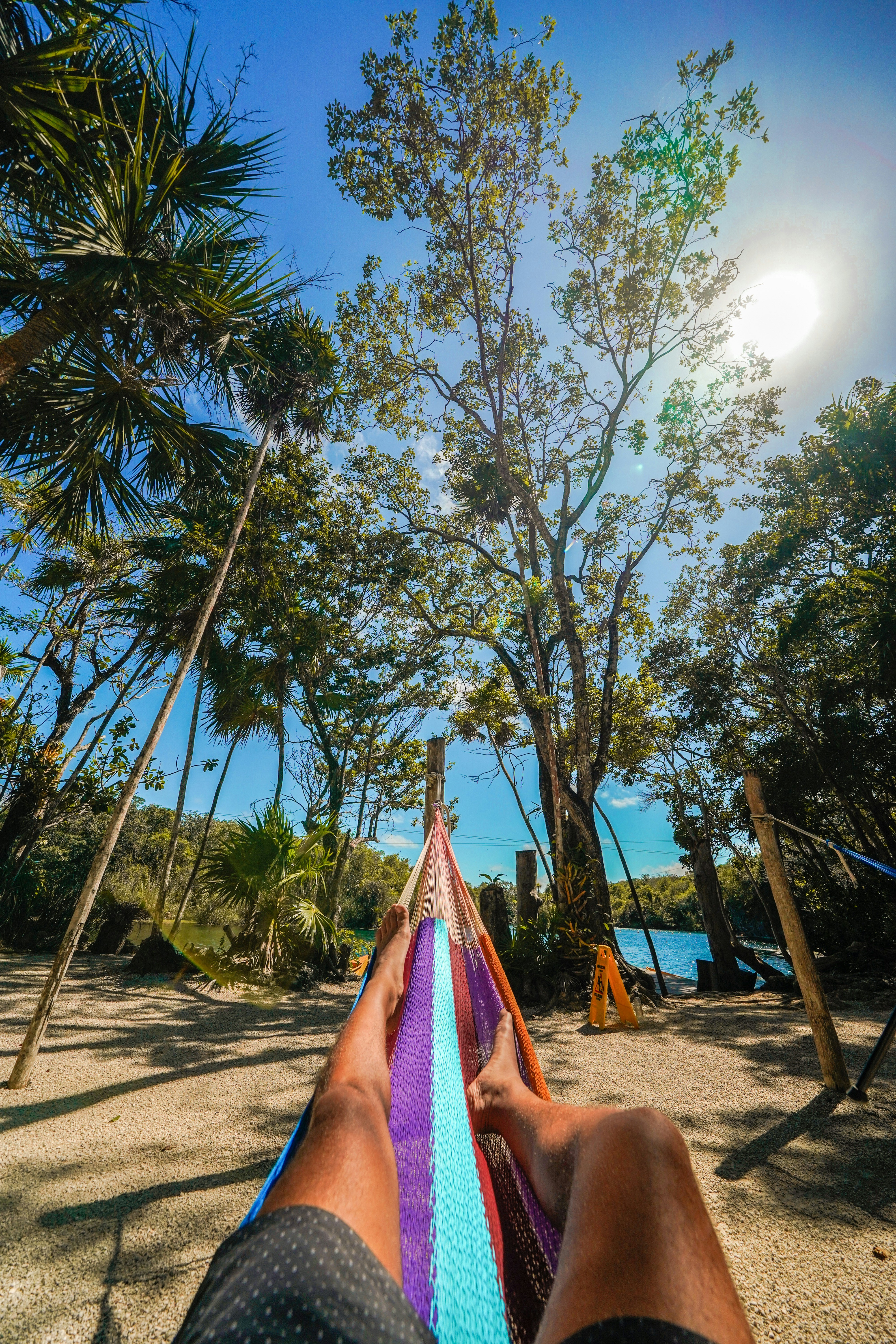 green palm tree on beach during daytime