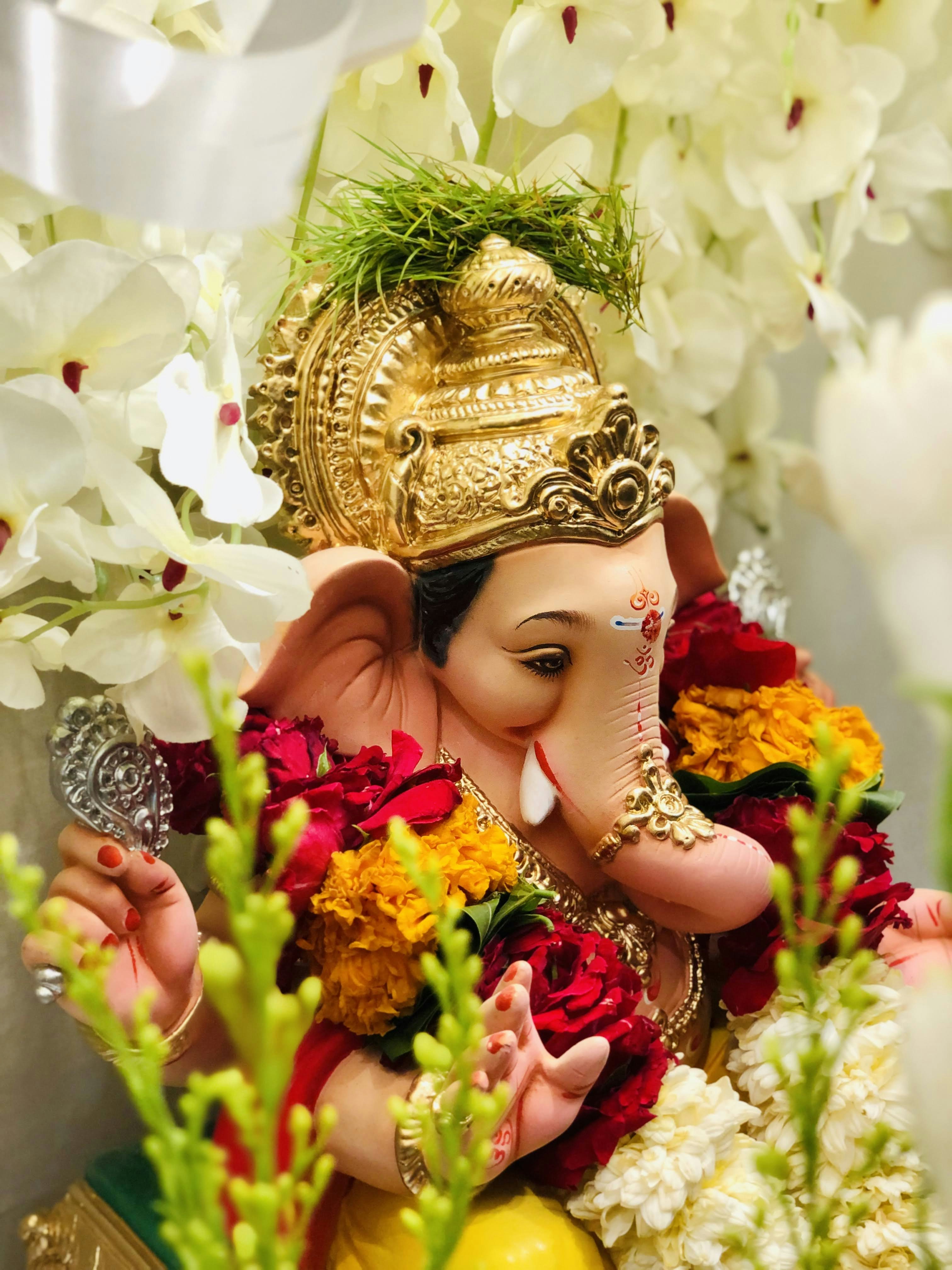 Photo by _karannagpal2