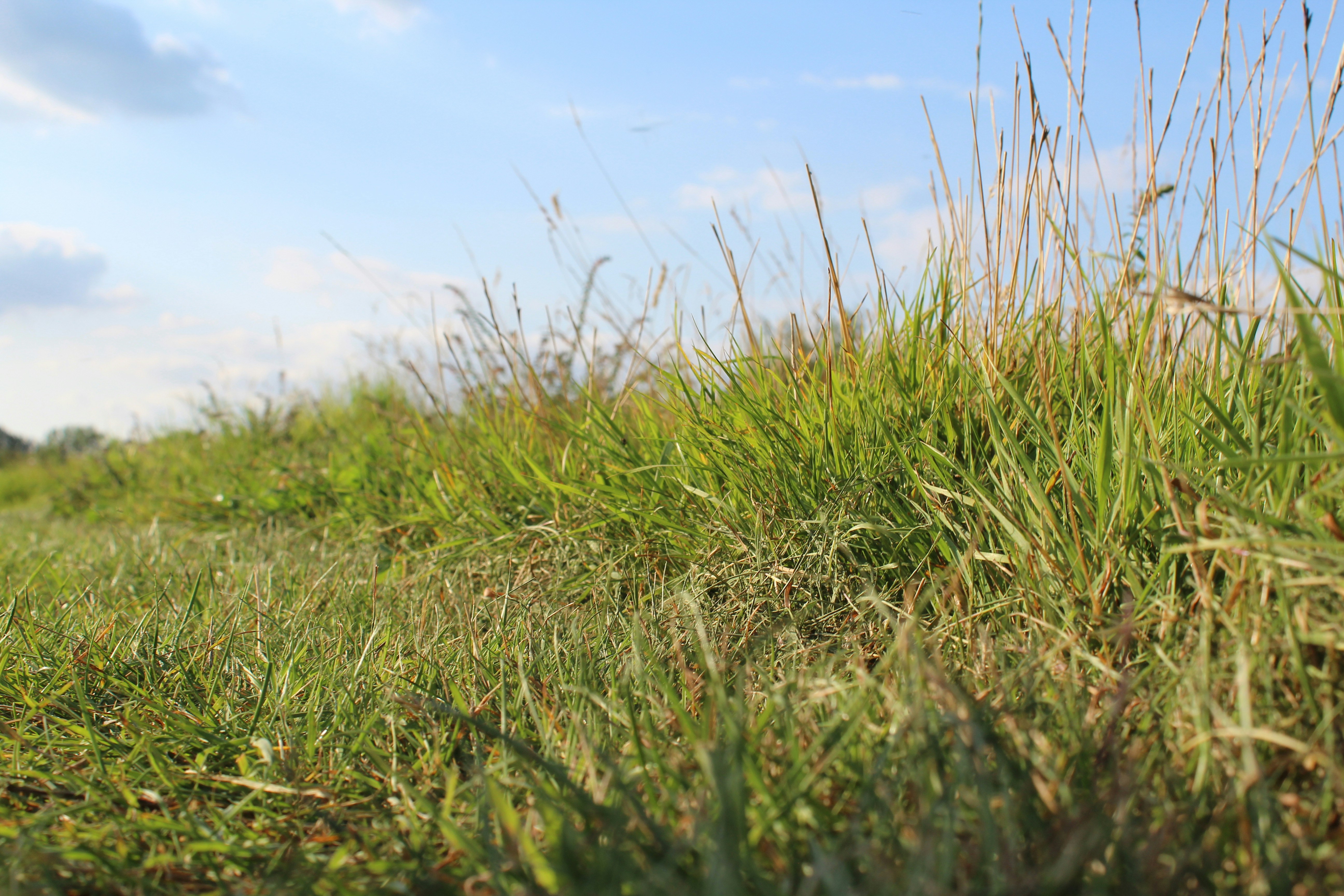 Photo by taketwentysix