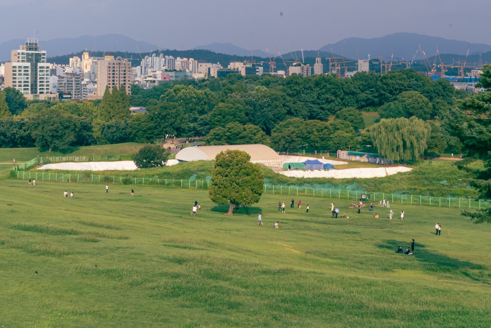 green grass field with trees and buildings in distance