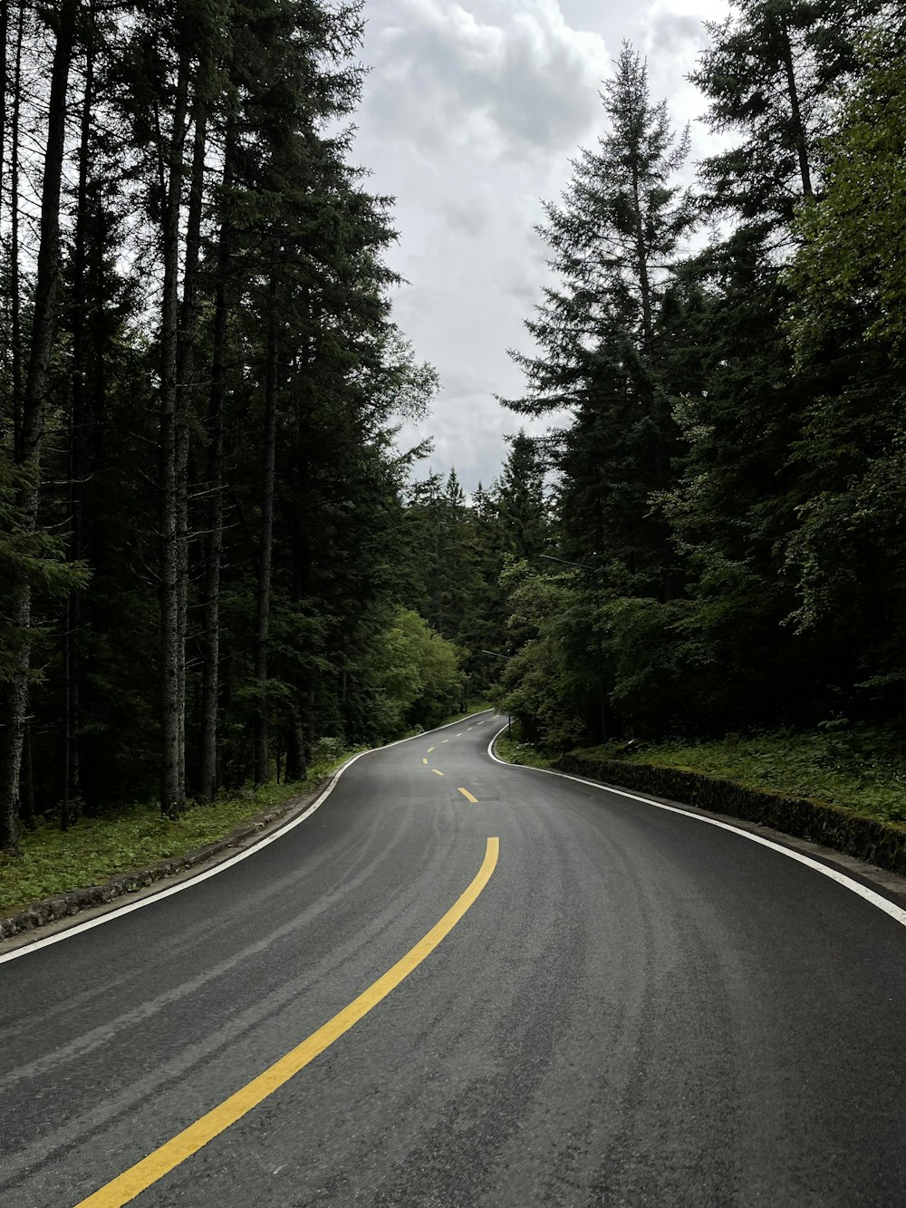 gray concrete road between green trees under white sky during daytime