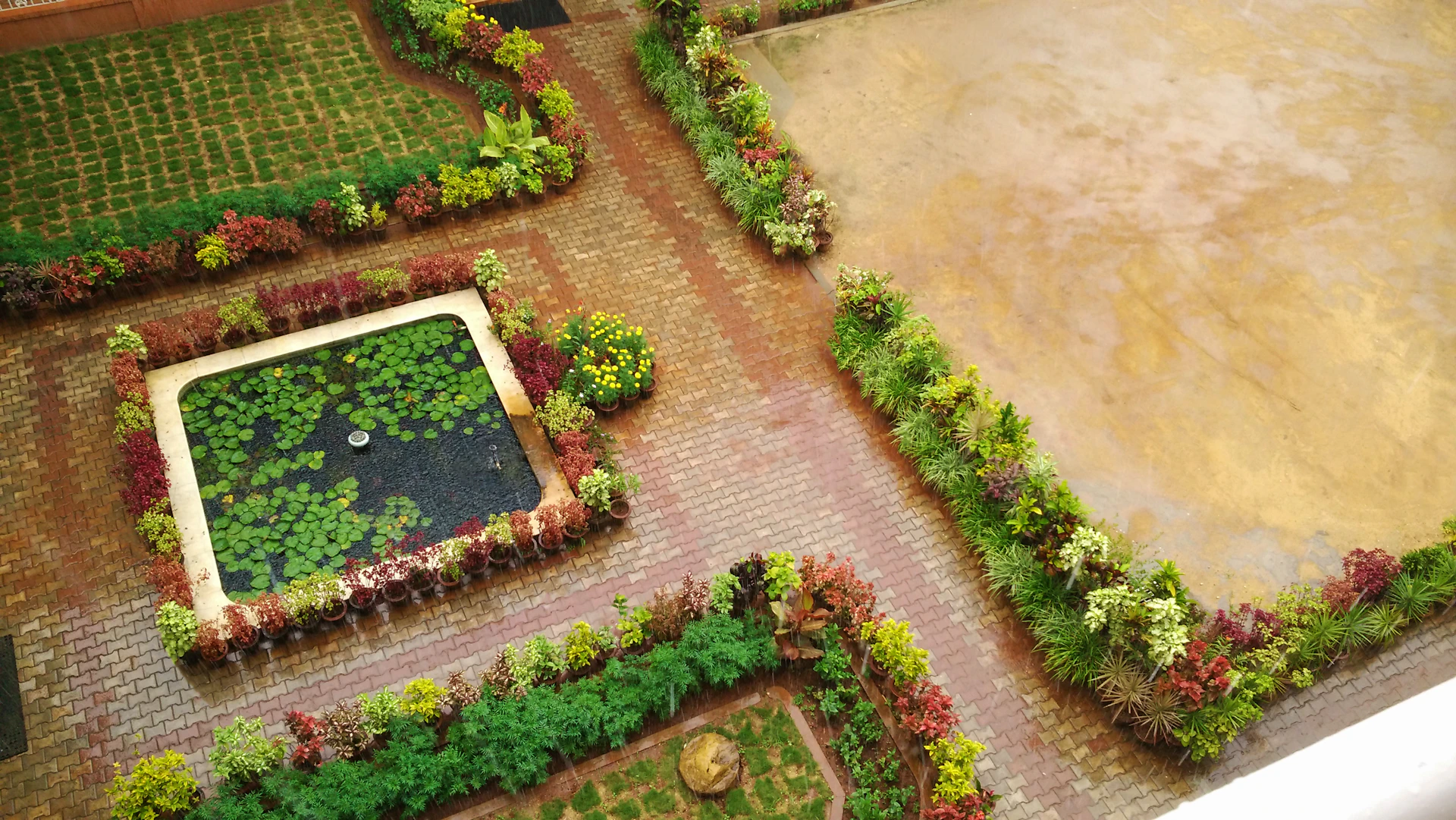 aerial view of green trees and brown concrete floor