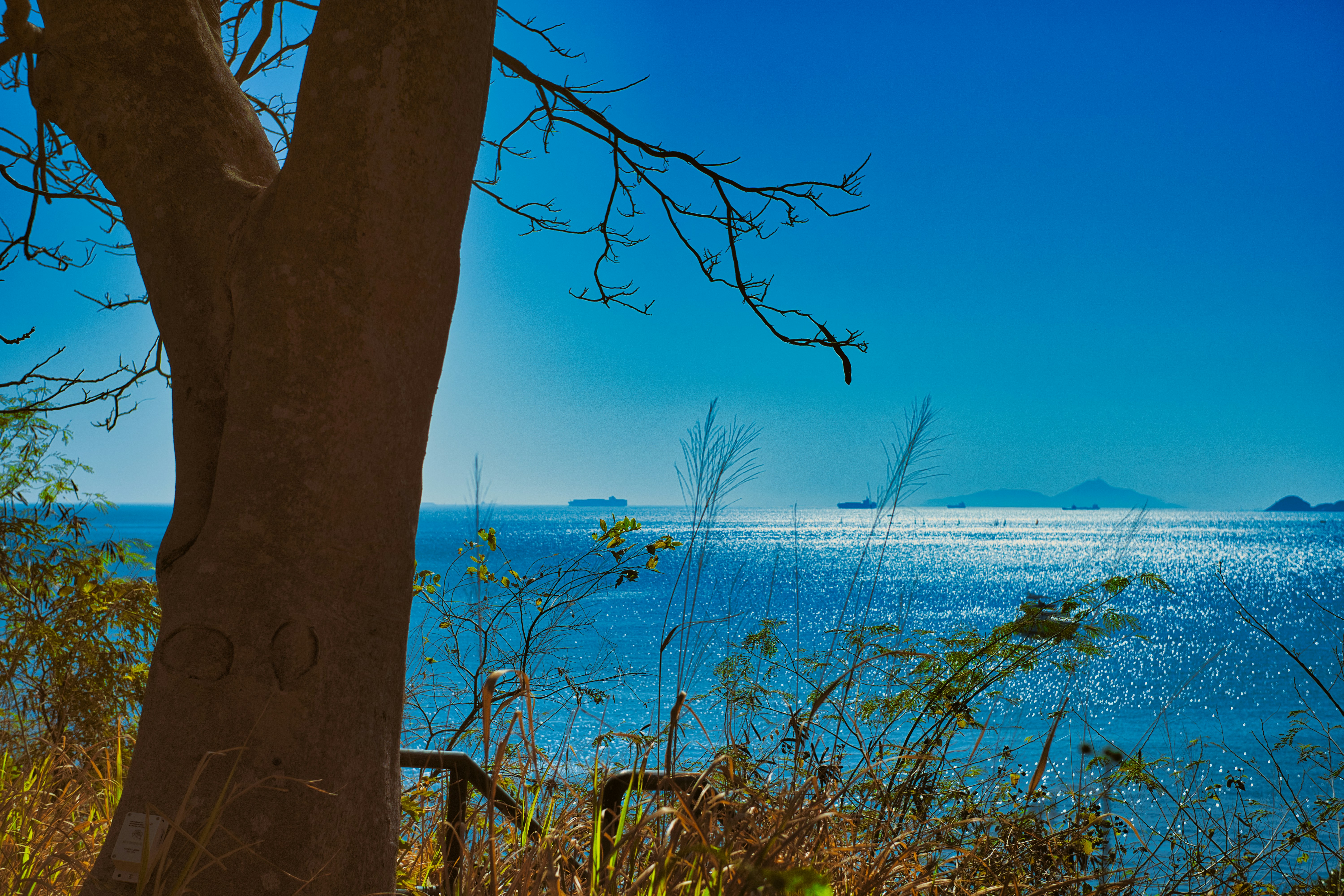 Photo by thomaskinto