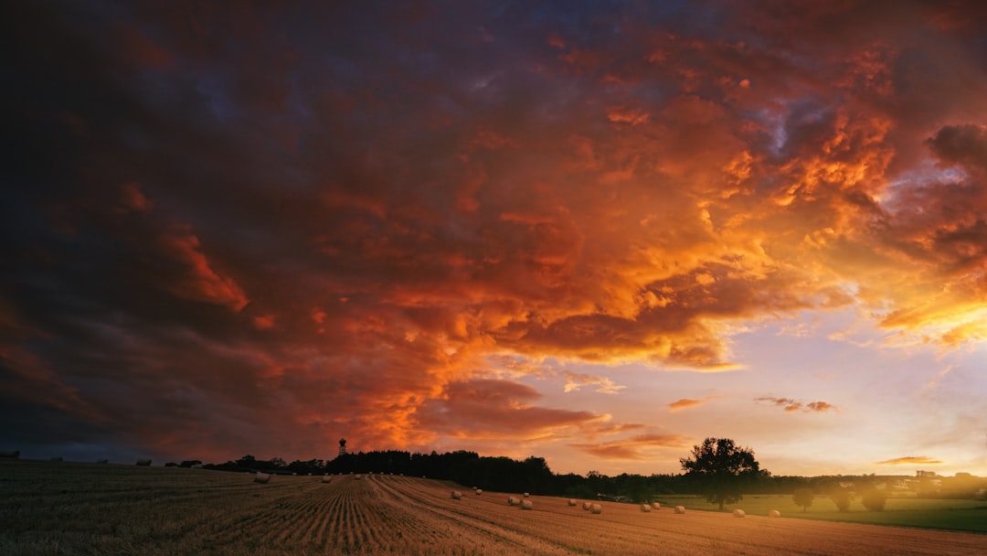 green grass field under orange and gray cloudy sky