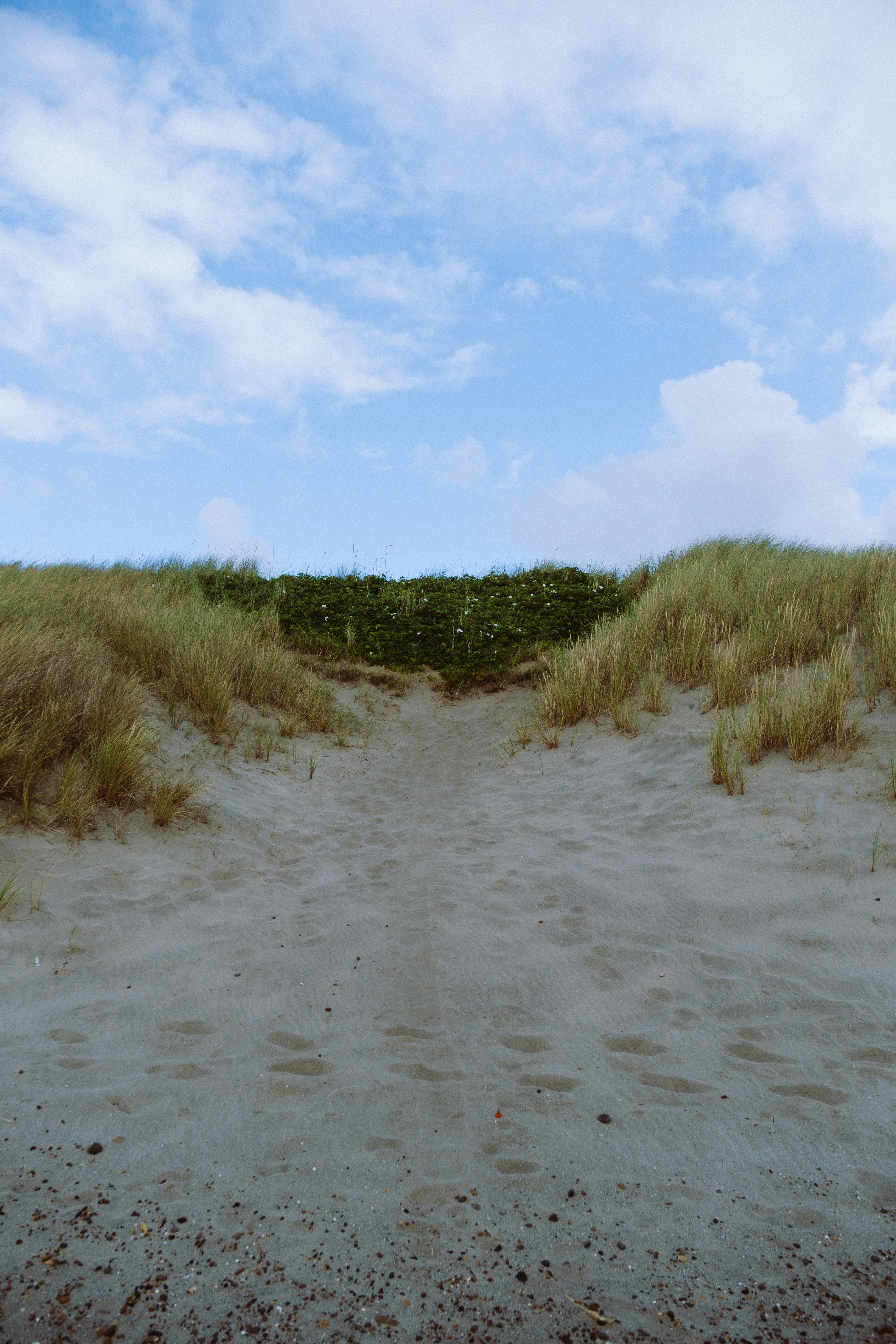 Skagen – Budgeting & Cost Expectations