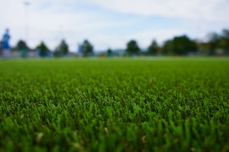 artificial turf sports field 