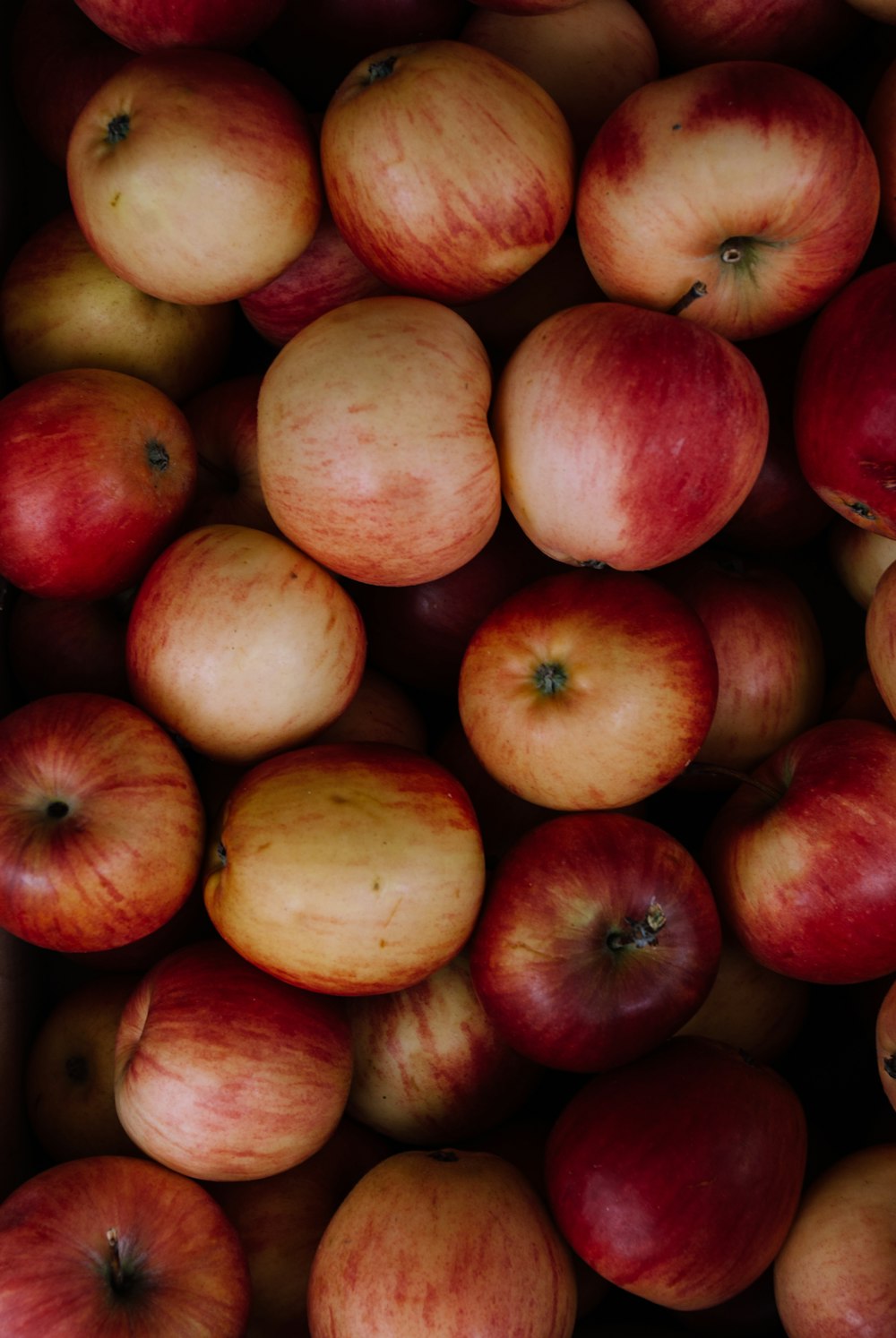 red and yellow apple fruits