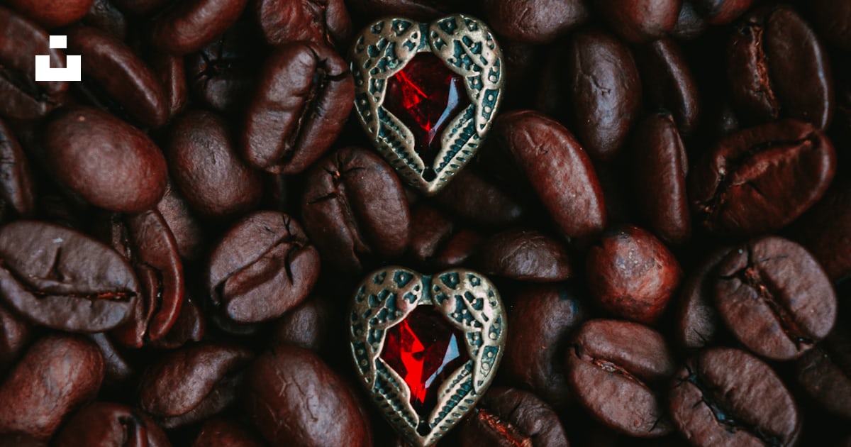 Fruits ovales rouges et noirs photo – Photo Café Gratuite sur Unsplash