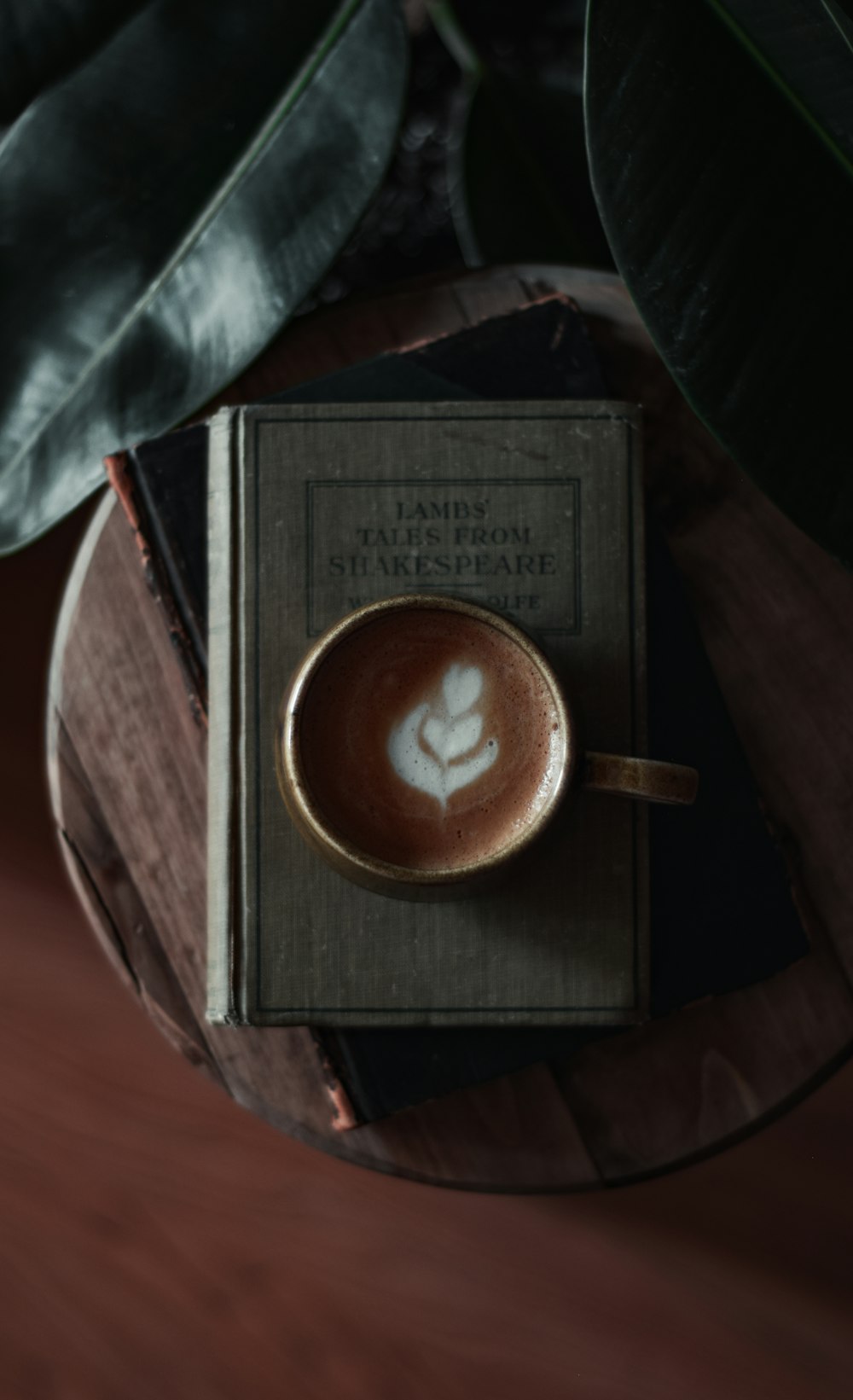 brown and black book on red textile