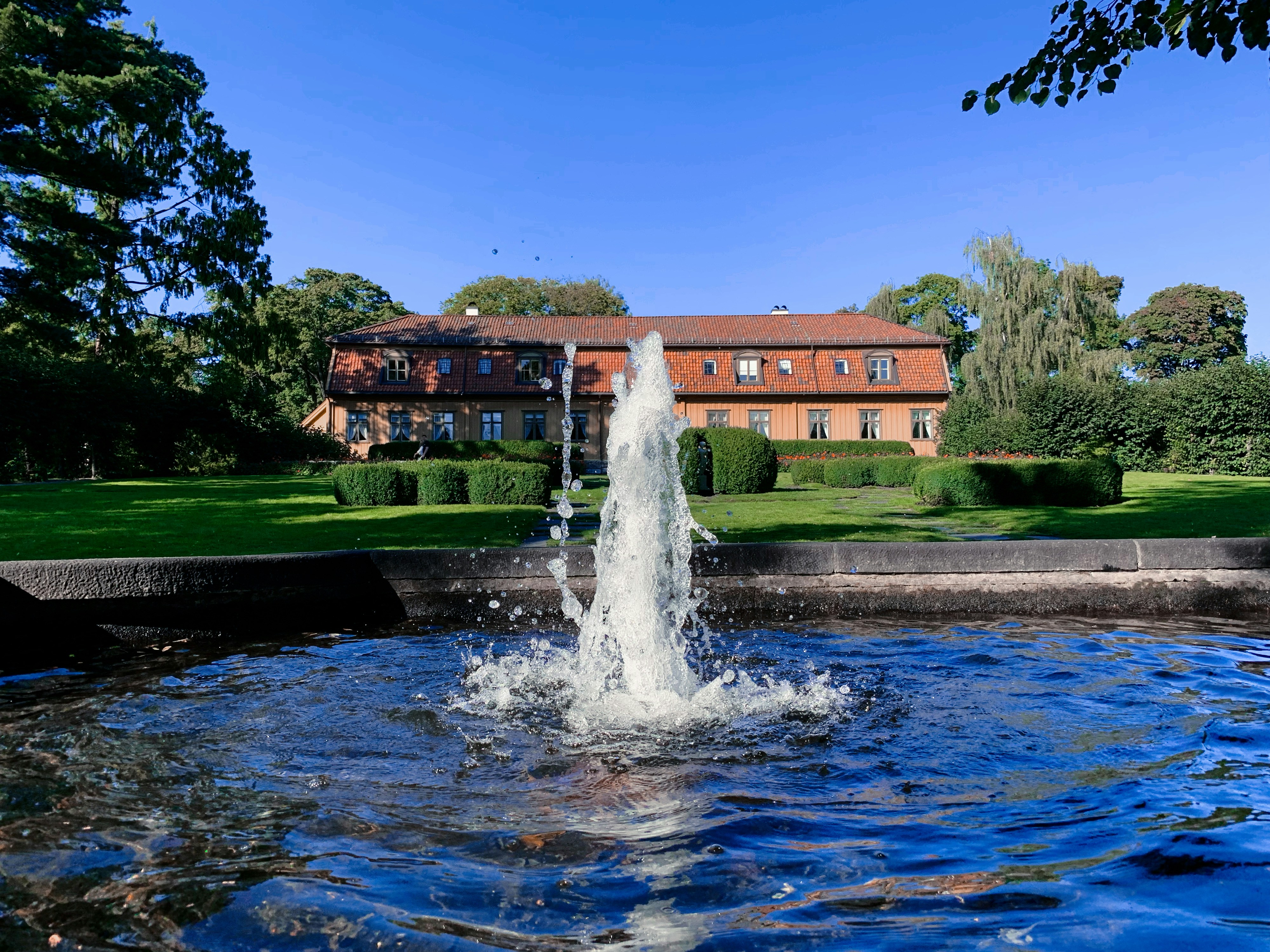 water fountain near green trees during daytime