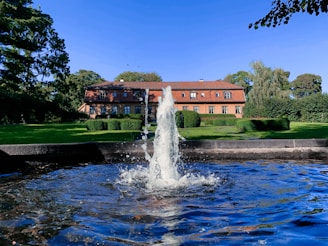 water fountain near green trees during daytime