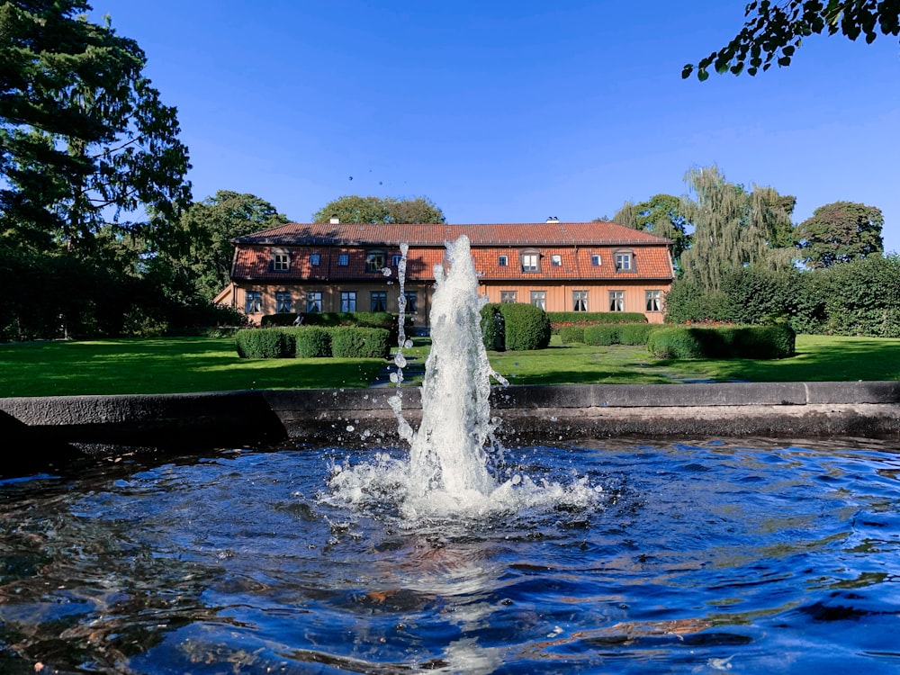 water fountain near green trees during daytime