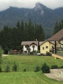 white and brown house near green trees and mountain during daytime