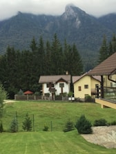 white and brown house near green trees and mountain during daytime