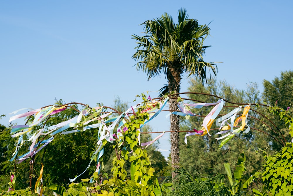 green palm tree under blue sky during daytime