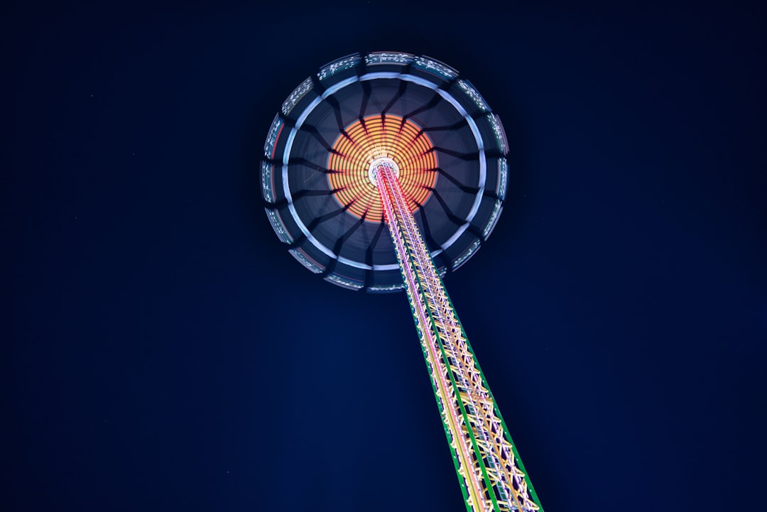 purple and white ferris wheel