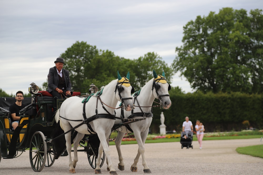 people riding horses on field during daytime