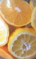 Several slices of citrus fruits, including oranges and lemons, are overlapping each other. The slices are vibrant in color, with visible textures and details of the fruit flesh and rind.
