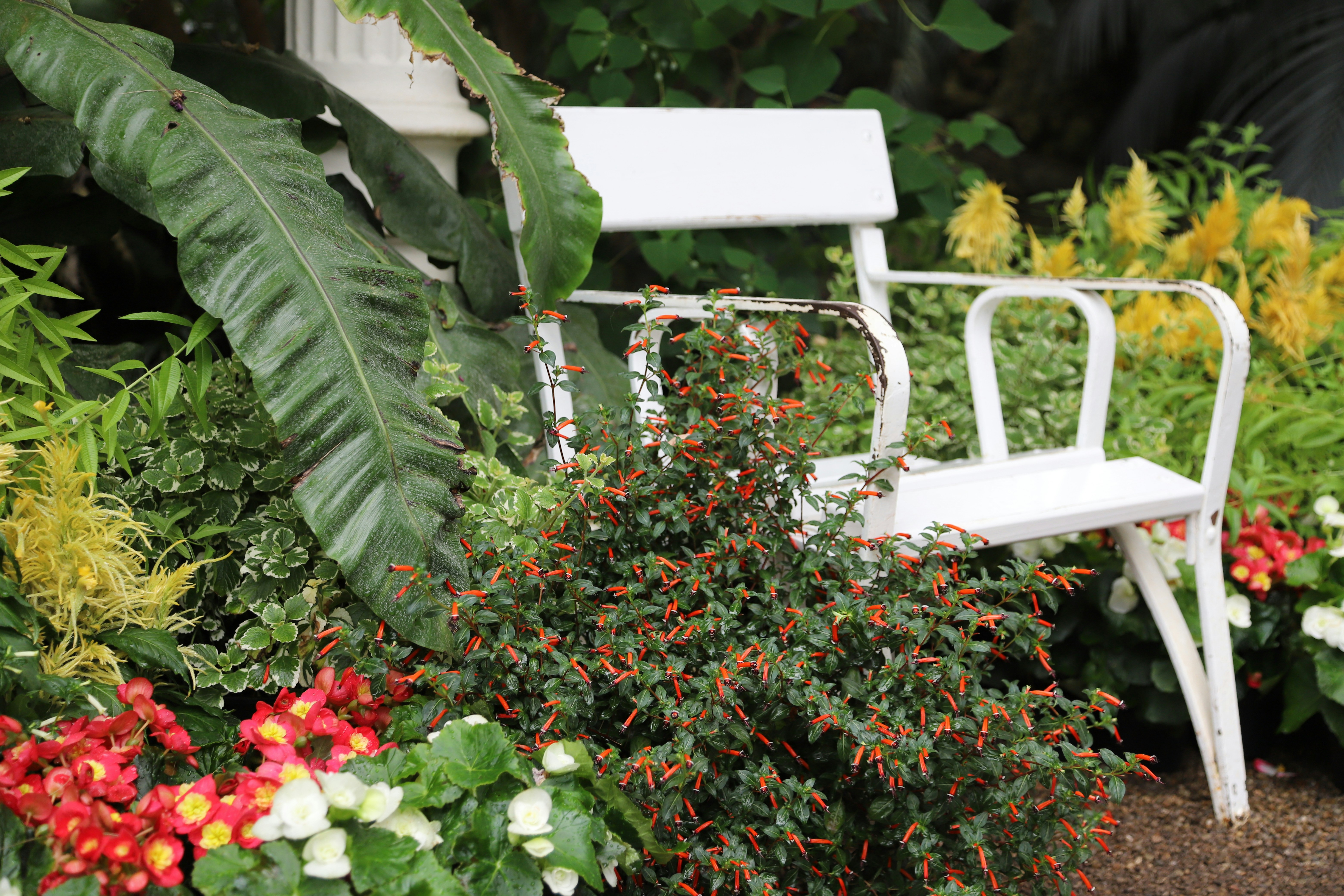 Photo by evitabrujita