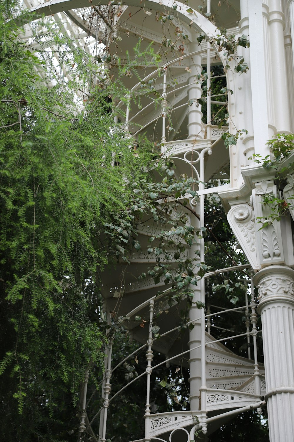 green trees near white concrete building during daytime