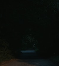 A dimly lit pathway, surrounded by dense, dark foliage. The path is barely visible, suggesting a sense of mystery or quiet solitude.