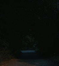 A dimly lit pathway, surrounded by dense, dark foliage. The path is barely visible, suggesting a sense of mystery or quiet solitude.