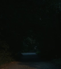 A dark forest path with a single lantern lighting the way, evoking difficult but guided transformation.