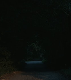 A dimly lit pathway, surrounded by dense, dark foliage. The path is barely visible, suggesting a sense of mystery or quiet solitude.