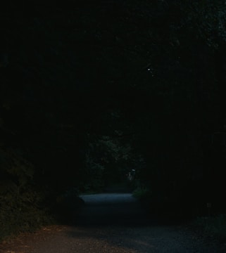 A dark forest path with a single lantern lighting the way, evoking difficult but guided transformation.