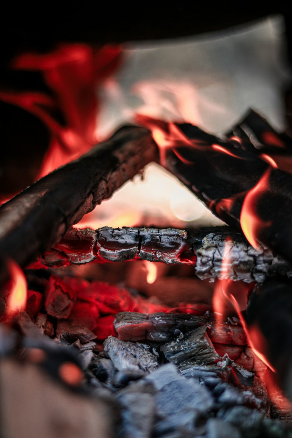 burning wood on fire pit