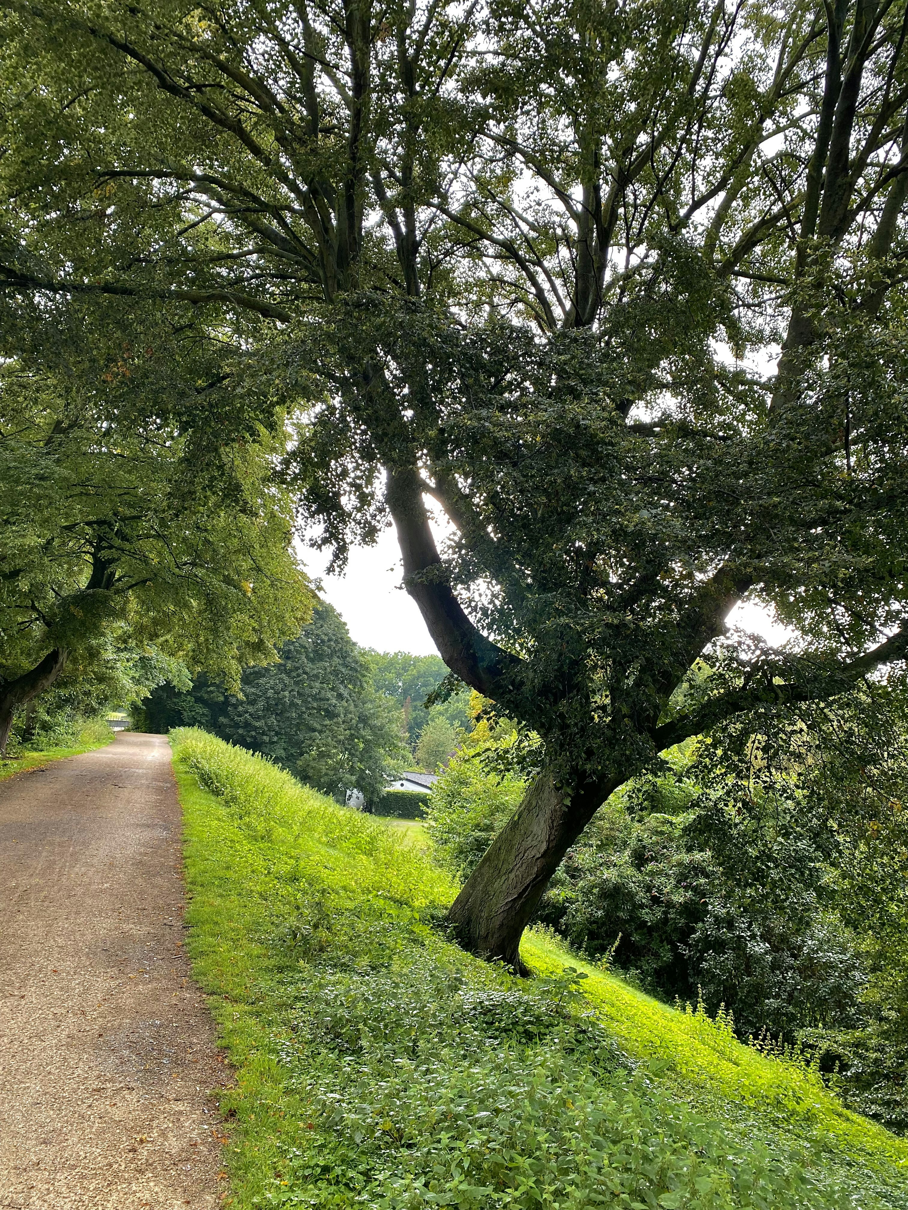 photo-1630267403734-38918bc1546b?ixid=M3wxMjA3fDB8MXxzZWFyY2h8MTk1fHx3YXMlMjBoZWklQzMlOUZ0JTIwY2hhdGdwdCUyMGF1ZiUyMGRldXRzY2h8ZW58MHx8fHwxNzM3OTA3NjcyfDA%5Cu0026ixlib=rb-4.0.3