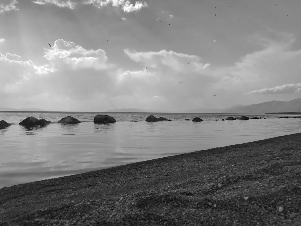 grayscale photo of sea waves crashing on shore