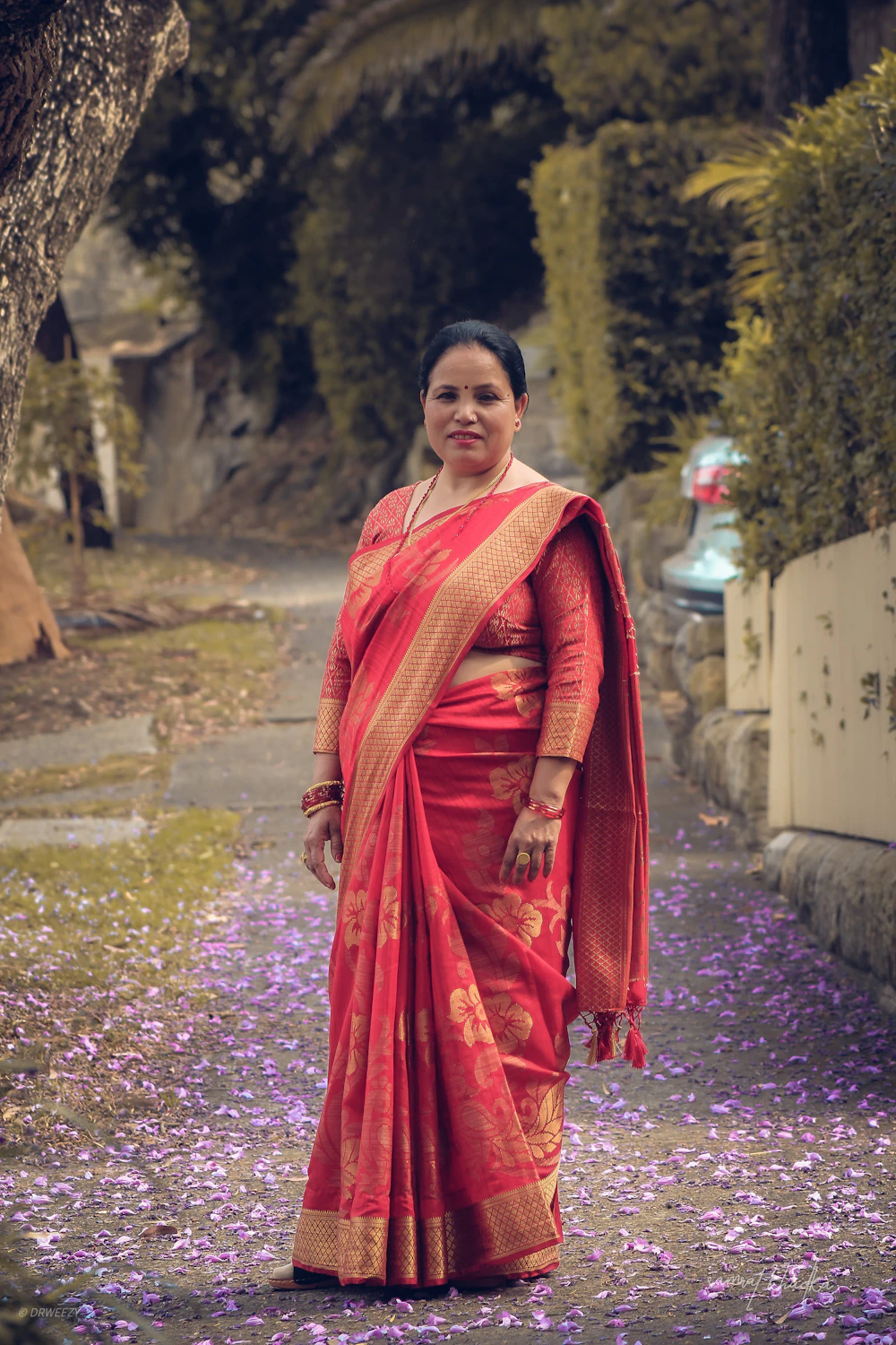 Everyday Luxury saree