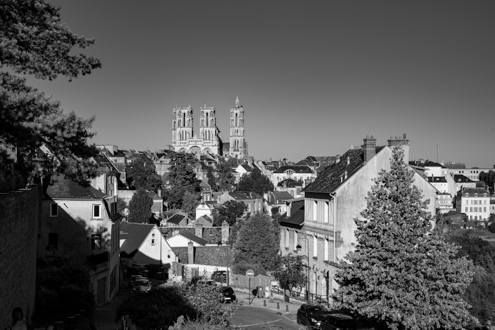 grayscale photo of houses and trees