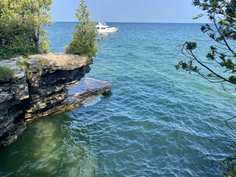 Arbres verts sur la formation rocheuse brune à côté de la mer bleue pendant la journée