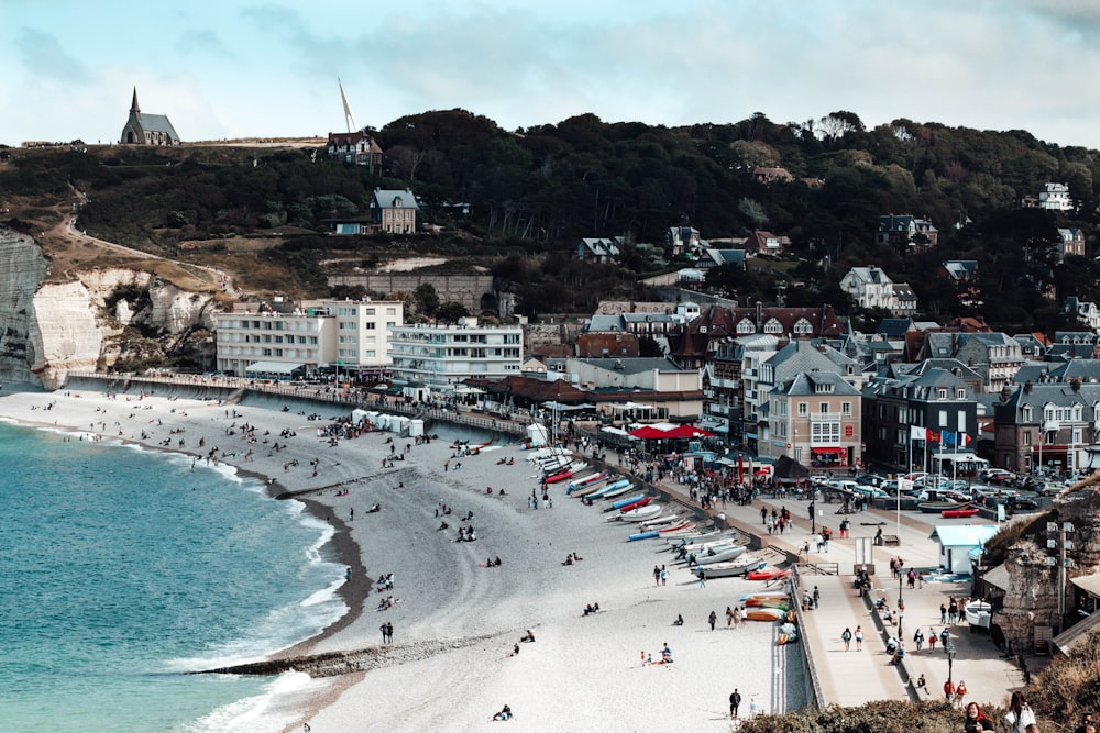 people on beach during daytime