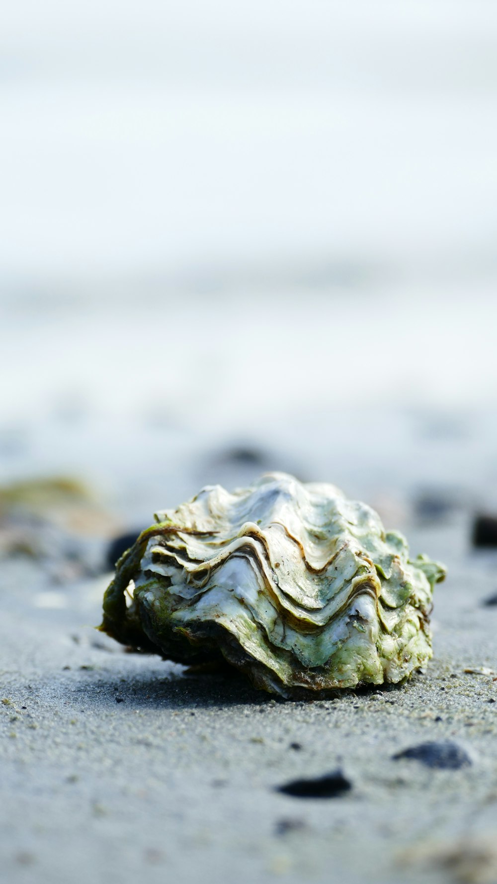 white and gray stone on gray sand