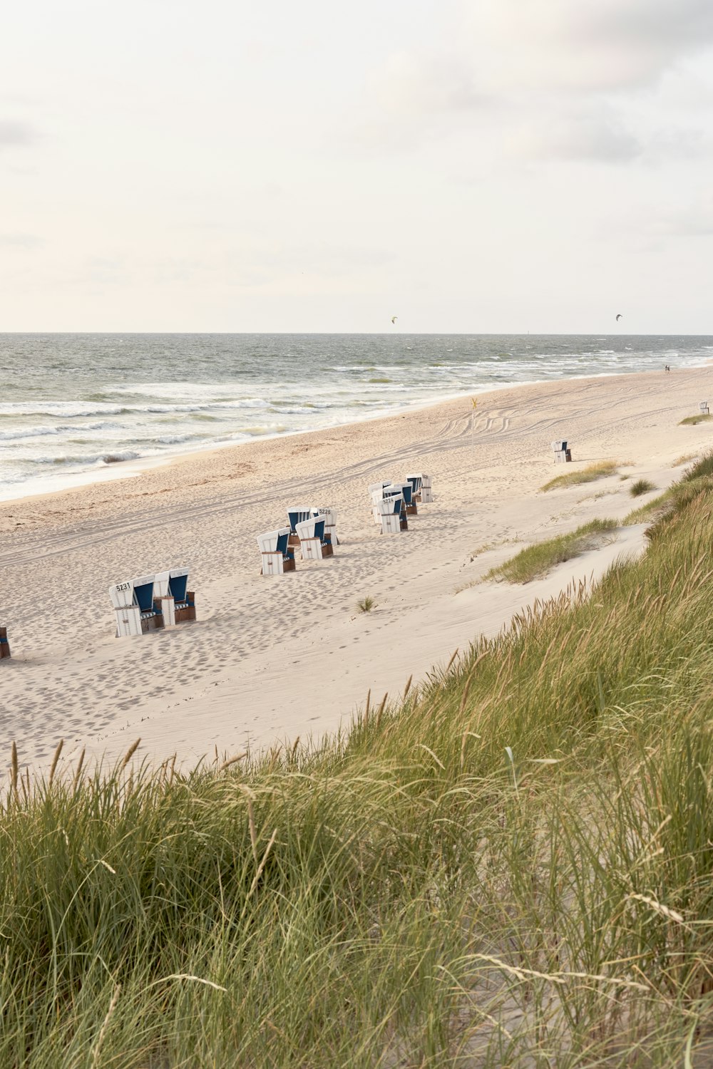 people on beach during daytime