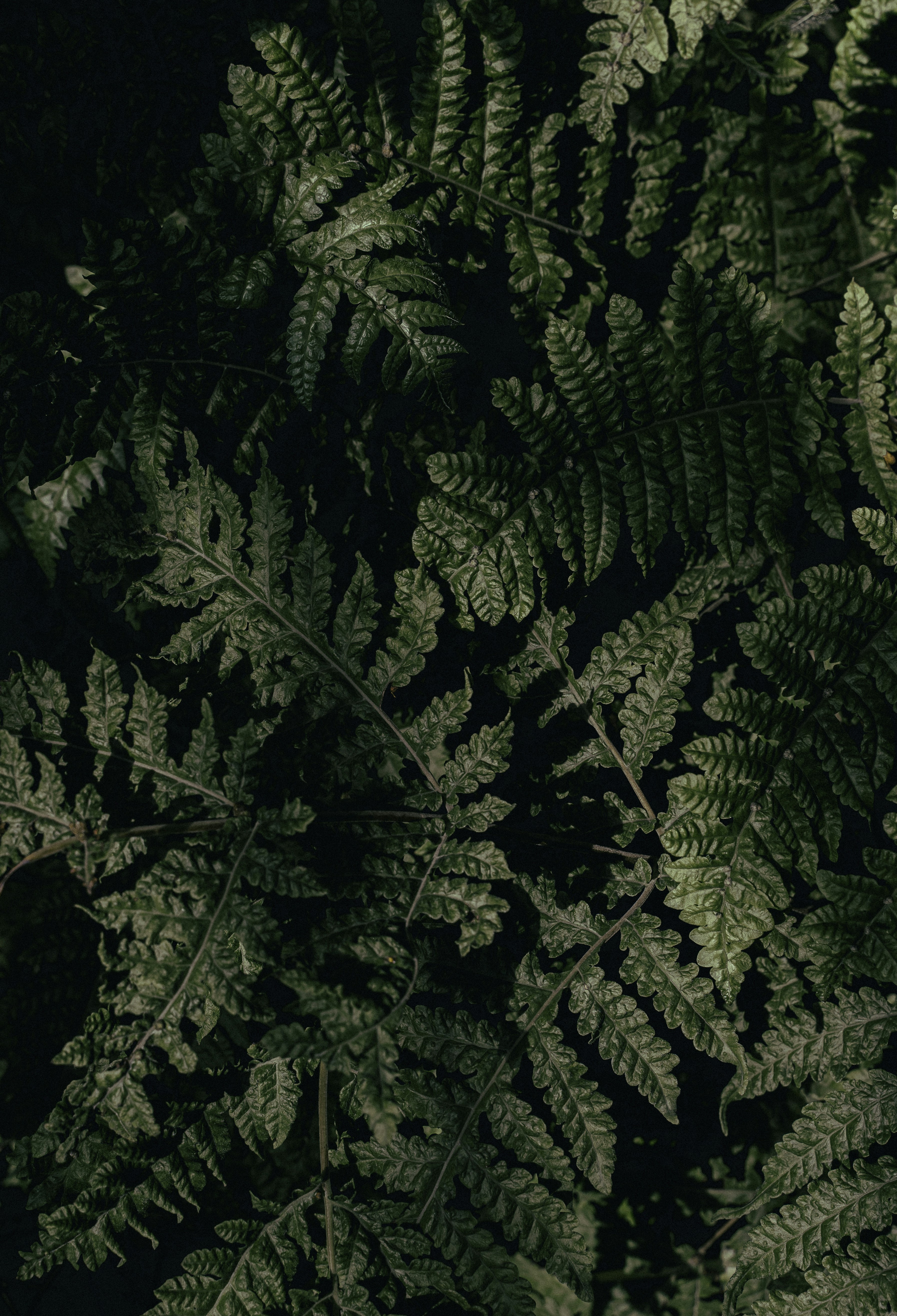 Photo by maksym_tymchyk